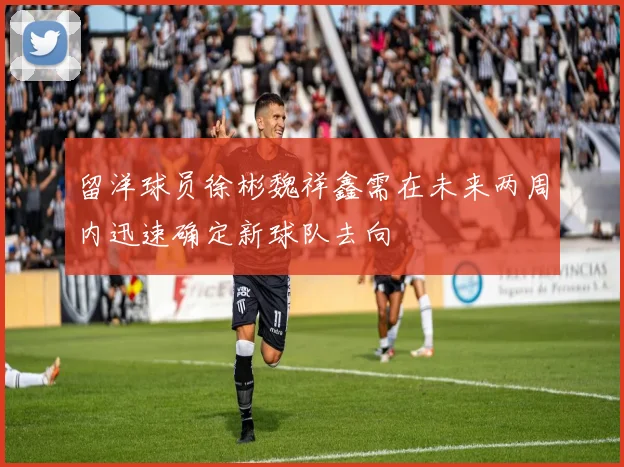 留洋球员徐彬魏祥鑫需在未来两周内迅速确定新球队去向