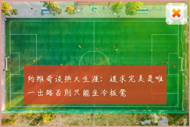约维奇谈热火生涯：追求完美是唯一出路否则只能坐冷板凳